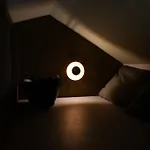 Tiny Tinyhouse Nunspeet