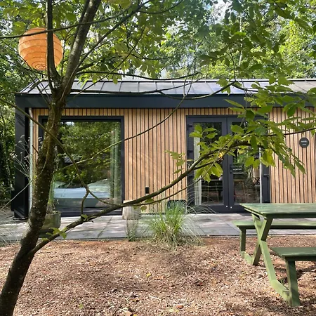 Tiny Tinyhouse * Nunspeet
