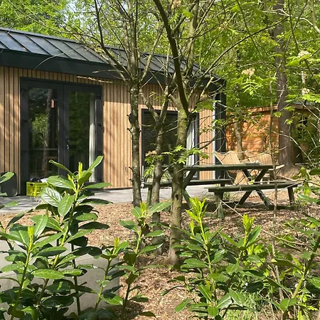 Tiny Tinyhouse Nunspeet