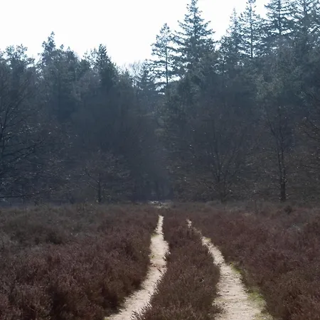 Alpesi faház Tiny Tinyhouse