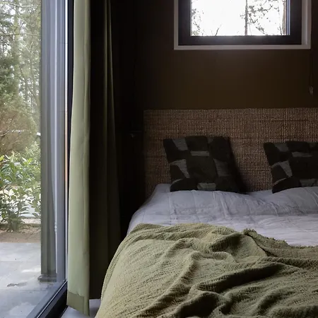 Tiny Tinyhouse Шале