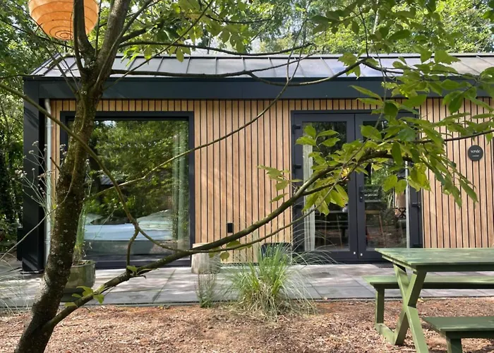 Tiny Tinyhouse * Nunspeet