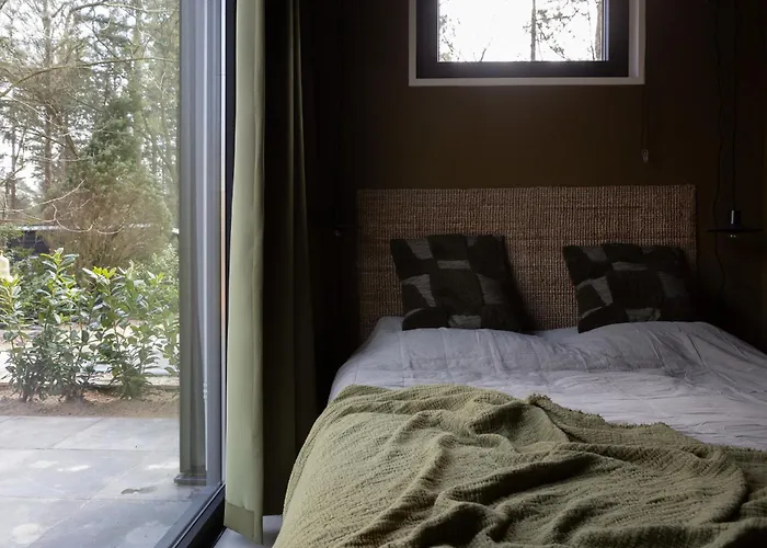 Tiny Tinyhouse Dağ evi