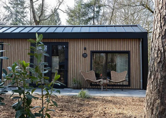 Tiny Tinyhouse * Nunspeet