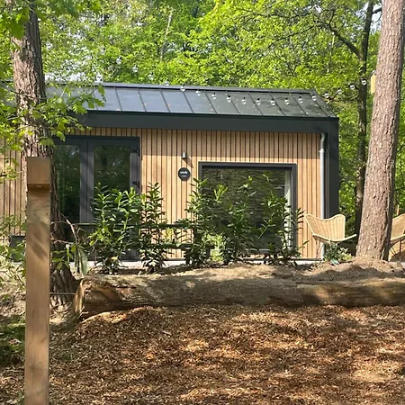 Chalet Tiny Tinyhouse