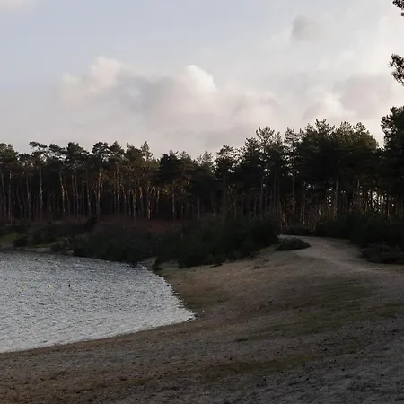 Chalet Tiny Tinyhouse Nunspeet
