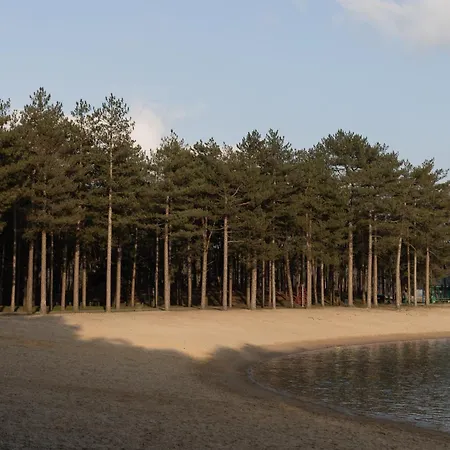 Tiny Tinyhouse Chalet *