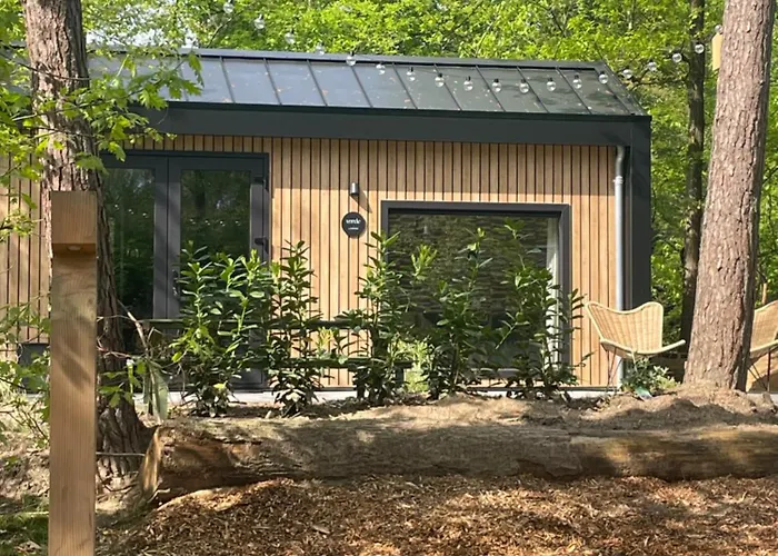 Chalet Tiny Tinyhouse