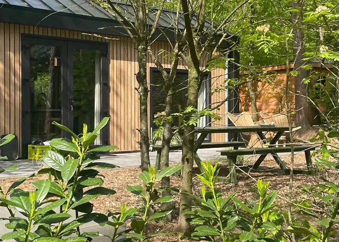 Tiny Tinyhouse Nunspeet