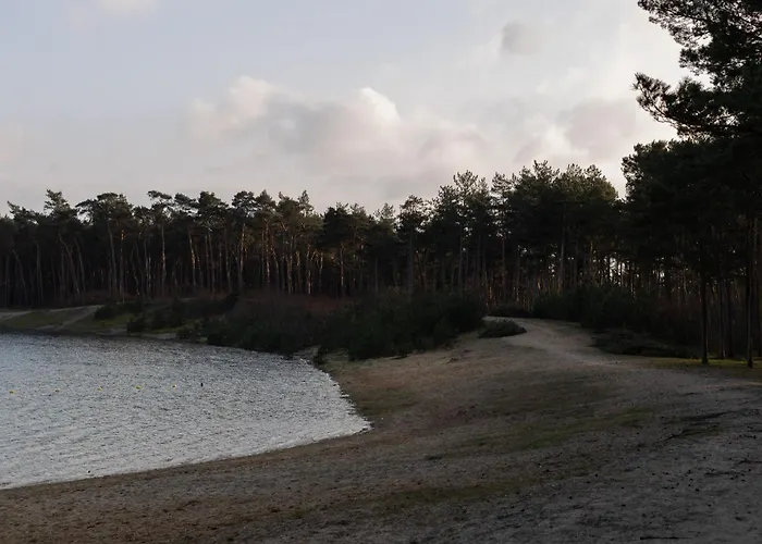 Chalet Tiny Tinyhouse Nunspeet