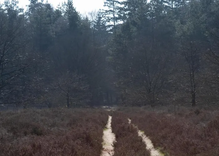 Chalet Tiny Tinyhouse